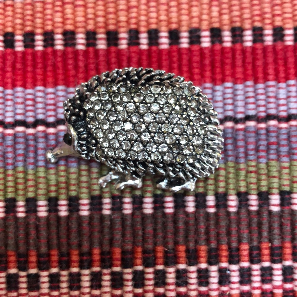 🦔Hedgehog brooch🦔NWOT